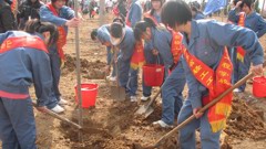我校北川班学生参加“青年林”义务植树活动