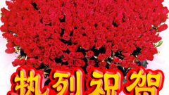 [光荣榜]2010年全国职业院校技能大赛成绩