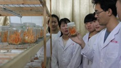 山东省轻工工程学校成功培育北冬虫夏草