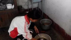 助老为乐  真情永恒