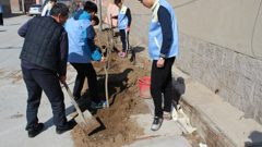山东省轻工工程学校学生参加植树活动
